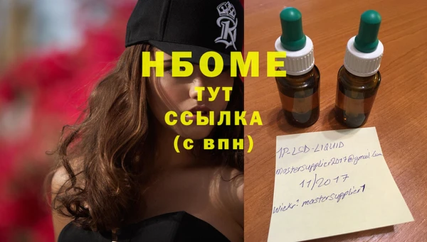 стаф Балахна