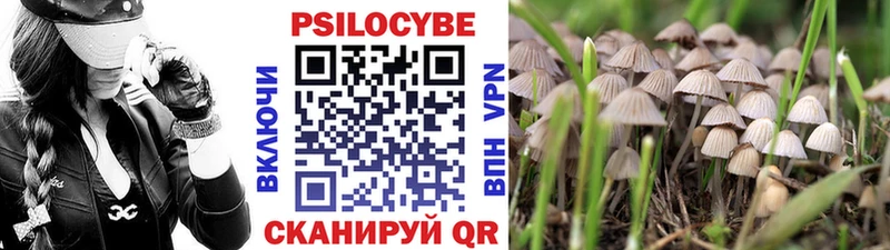 Купить  Лихославль  Галлюциногенные грибы прущие грибы 